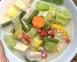 Foto langkah ke 5 dari resep Sayur Lodeh.