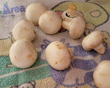 Foto del paso 1 de la receta: Hojaldres de champiñones y queso