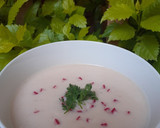 Foto del paso 6 de la receta: Crema de rábanos