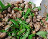 Hình bước làm 1 của món Sò huyết sauce me