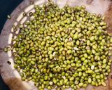 A picture of step 2 of Air fried moong beans.