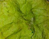 A picture of step 2 of Palak Masala Jowar Poori.