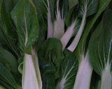 Foto langkah ke 1 dari resep Sayur Pak Choy Cah Bawang Putih.