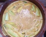 Spicy roasted coconut fish curry recipe step 3 photo
