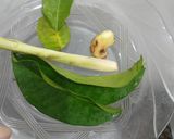 Foto langkah ke 2 dari resep Gulai Rebung Labu Siam.