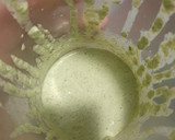 Foto del paso 1 de la receta: Salsa dulce de espárragos trigueros
