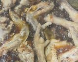 Foto langkah ke 6 dari resep Ayam kuah mentega.