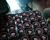 Foto langkah ke 5 dari resep Coklat yuppi.