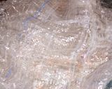A picture of step 11 of Dashishi (Arabian food using wheat).