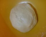 Foto langkah ke 2 dari resep Roti Canai/Prata/Maryam.