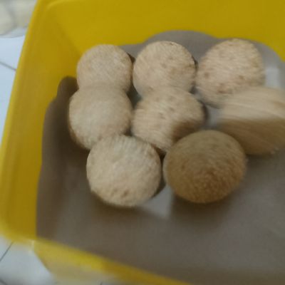 Langkah 7