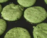 पालक पनीर अप्पम(Palak paneer appam recipe in hindi) रेसिपी चरण 5 फोटो