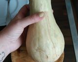 Foto del paso 1 de la receta Macarrones en salsa de calabaza naranja 🤤