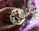 Foto langkah ke 4 dari resep Dimsum Jamur Fantasi.