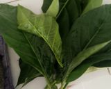Foto langkah ke 1 dari resep Nasi mengkudu.