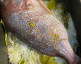 Foto del paso 3 de la receta: Pargo rosado al cava