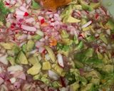 A picture of step 10 of Mayan Salsa for Game Meats, Seafood, and Pork.