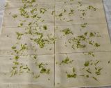 Une image de l'étape 3 de Petits pains chocolat blanc et citron vert.