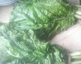 Sautee'd Swiss Chard recipe step 1 photo