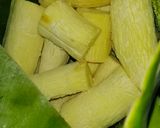 Foto langkah ke 6 dari resep Peuyeum / Tape Singkong Homemade (Peuyeum Bandung).
