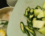 Foto langkah ke 3 dari resep 582. Sayur Lodeh.