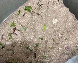 A picture of step 2 of Ragi rotti.