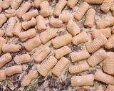 A picture of step 8 of Parmigiano gnocchi.