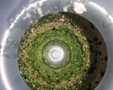 Foto del passaggio 2 della ricetta Pesto rucola e tonno