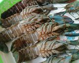 Foto langkah ke 1 dari resep Udang Saos Padang.