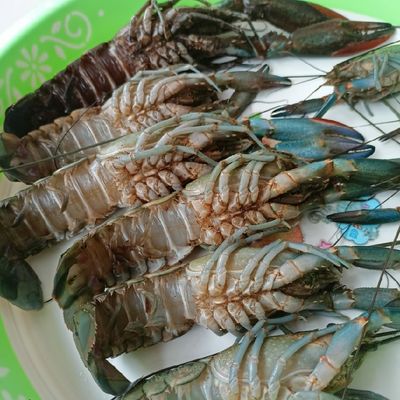 Langkah 1
