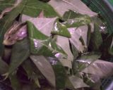 Foto langkah ke 1 dari resep Gulai Daun Singkong.
