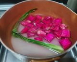 Foto langkah ke 2 dari resep Sirup Kulit Buah Naga.