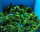 Foto langkah ke 4 dari resep Ikan Asin Pedo kukus cabe Ijo.