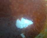 A picture of step 4 of Malai kofta (vrat special).