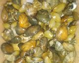 Foto langkah ke 1 dari resep Kerang Rebus.