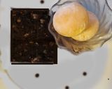 A picture of step 6 of Dark Chocolate Banana Bread.