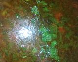 पालक की सब्जी (Palak Ki sabzi recipe in Hindi) रेसिपी चरण 5 फोटो