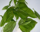 Foto del paso 8 de la receta: Papardela de Brujas