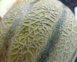 Foto del paso 3 de la receta: Crema de melón 🍈