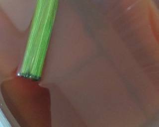 Es dawet tape mutiara - Step 1