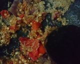 Foto langkah ke 3 dari resep Mie Goreng Pedas.