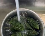 A picture of step 1 of Bharwa Karela Sabzi.