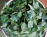 முருங்கைக் கீரை பொரியல் (Murunkai keerai poriyal recipe in tamil) ரெசிபி ஸ்டேப் 1 புகைப்படம்