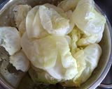 A picture of step 4 of Mushroom Cabbage Dumplings.