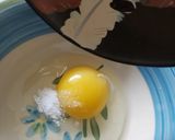 Foto do passo 5 de Muçarela de búfala empanada (petisco rápido, fácil e delicioso)