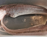 Foto del paso 1 de la receta: La pescadilla que se muerde la cola (a veces se suelta)