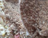 A picture of step 5 of Bisi bele bath recipe.