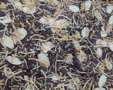 Foto langkah ke 8 dari resep Brownies Tanpa Pengembang(Anti gagal).