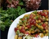 A picture of step 9 of Khara Boondi Chaat.