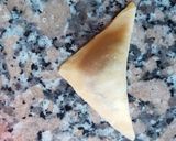 Foto del paso 2 de la receta: Capeletis con salsa boloñesa